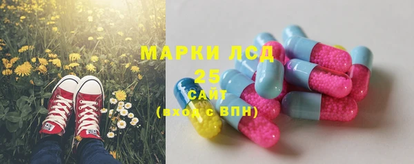 СК Надым