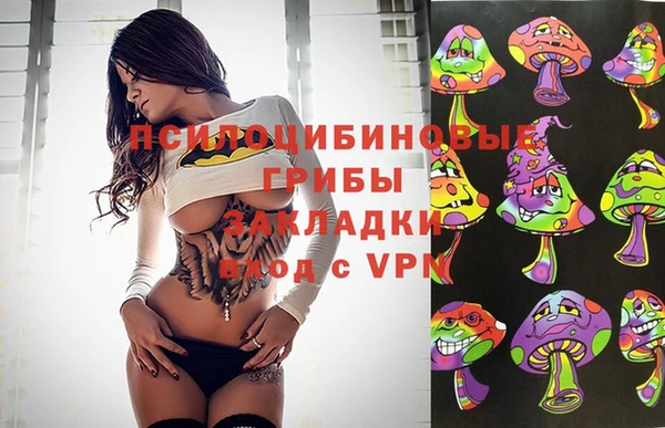прущие грибы Наволоки