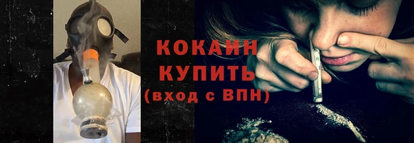 прущие грибы Наволоки