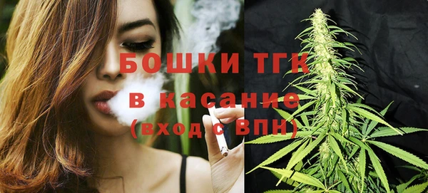 прущие грибы Наволоки