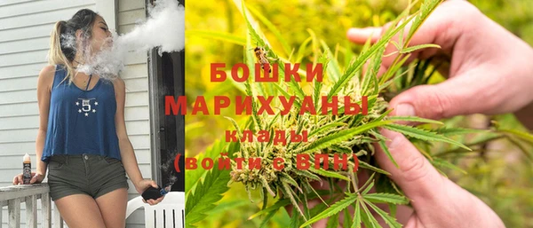 spice Каменка