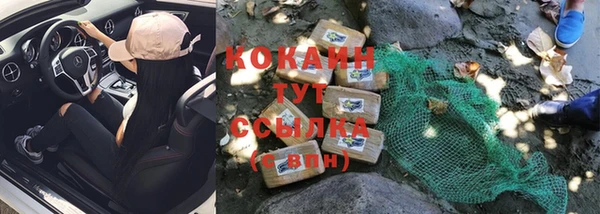 прущие грибы Наволоки