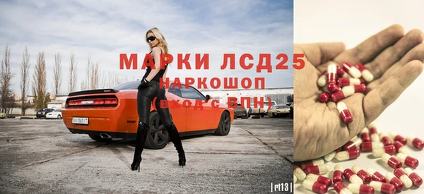 прущие грибы Наволоки