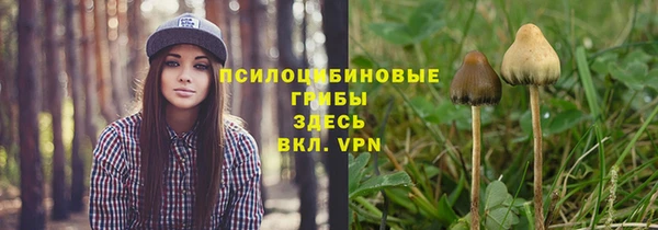СК Надым