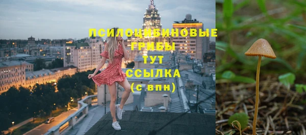 СК Надым