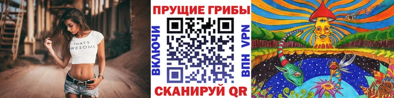 цена   Анива  Галлюциногенные грибы MAGIC MUSHROOMS 
